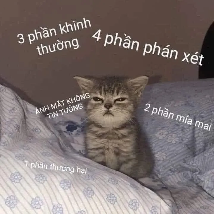 Meme mèo bựa