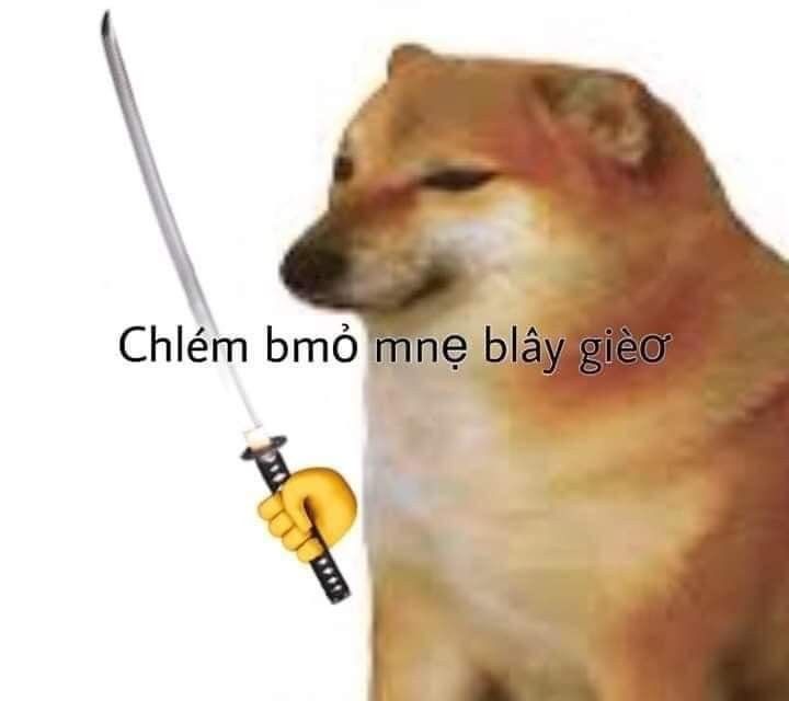 Meme chó Shiba cực kỳ sáng tạo 6