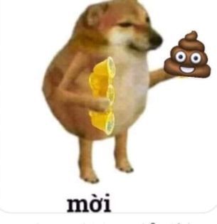 Meme chó Shiba cực kỳ sáng tạo 5