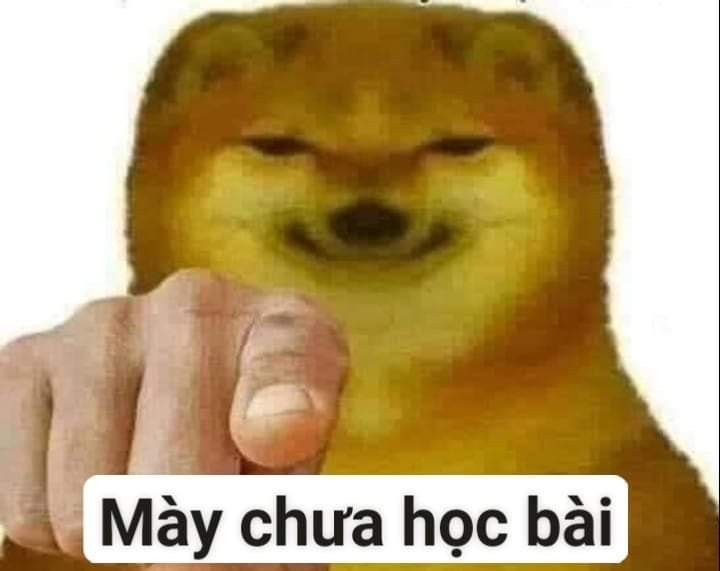 Meme chó Shiba cực kỳ sáng tạo 8