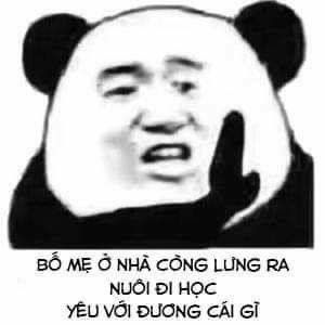 Bộ sưu tập meme gấu trúc Weibo hài bá đạo 19