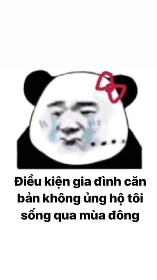 Bộ sưu tập meme gấu trúc Weibo hài bá đạo 17