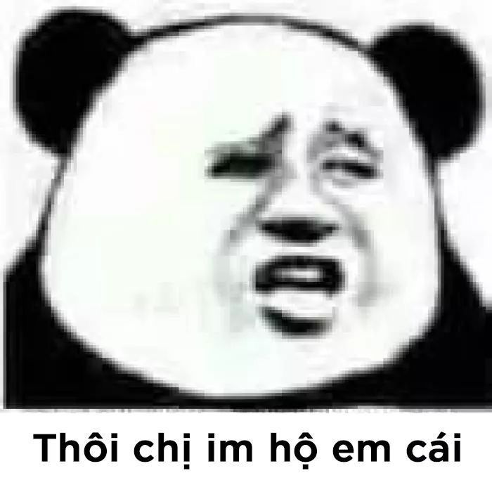 Bộ sưu tập meme gấu trúc Weibo hài bá đạo 12