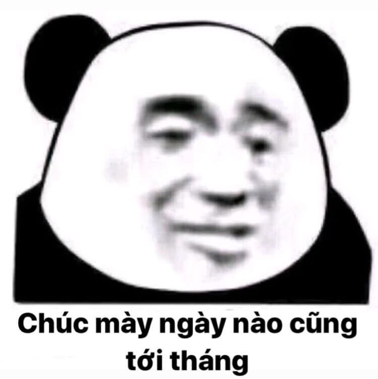 Bộ sưu tập meme gấu trúc Weibo hài bá đạo 10