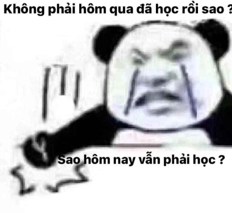 Bộ sưu tập meme gấu trúc Weibo hài bá đạo 9