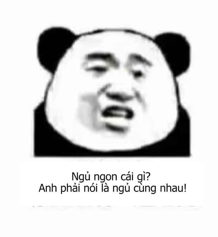 Bộ sưu tập meme gấu trúc Weibo hài bá đạo 6