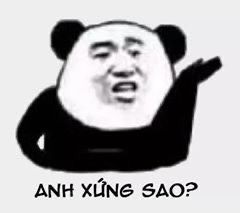 Bộ sưu tập meme gấu trúc Weibo hài bá đạo 20