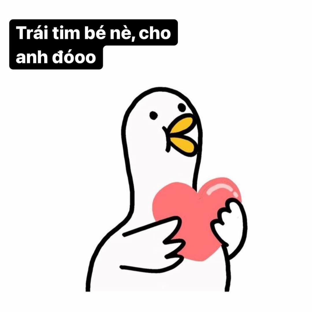 MEME Vịt hài hước, đáng yêu nhất 33