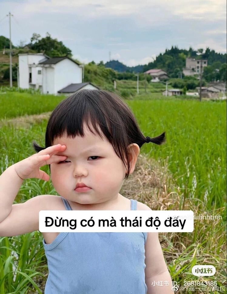 meme Dao Dao 24