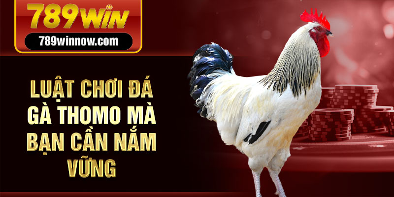 Luật chơi đá gà Thomo mà bạn cần nắm vững
