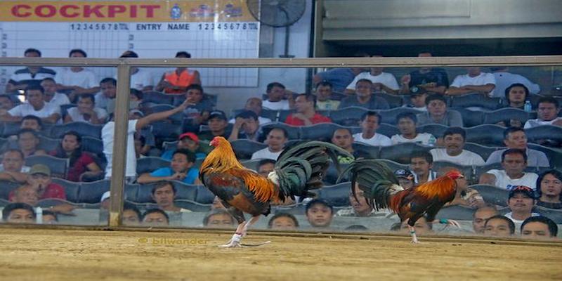 Thời gian thi đấu và cấu trúc hiệp đấu