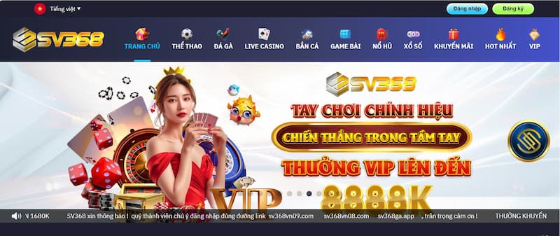 Các chương trình khuyến mãi hấp dẫn