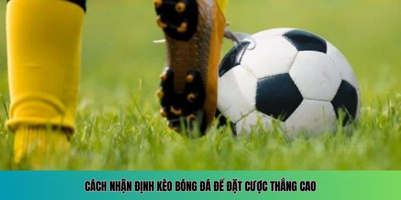 Cách nhận định kèo bóng đá để đặt cược thắng cao