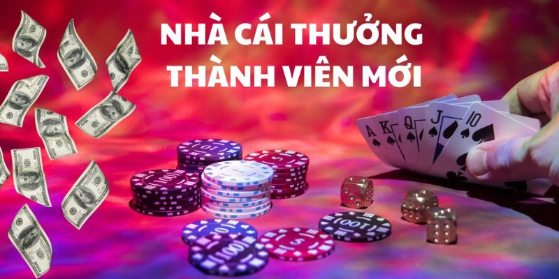 Trải nghiệm giải trí không giới hạn tại nhà cái Tobet88