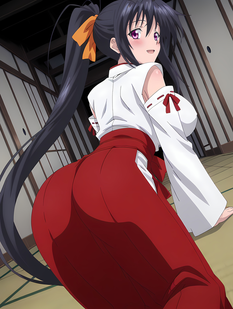 akeno hentai 13